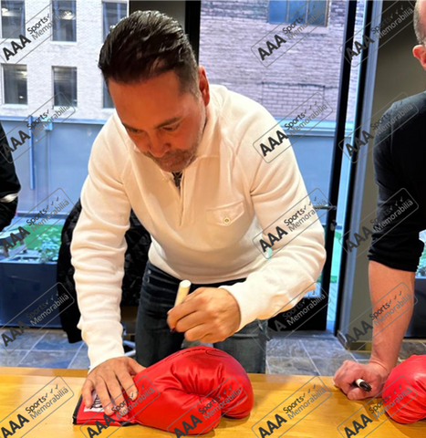 Oscar De La Hoya Signed RED Everlast Boxing Glove