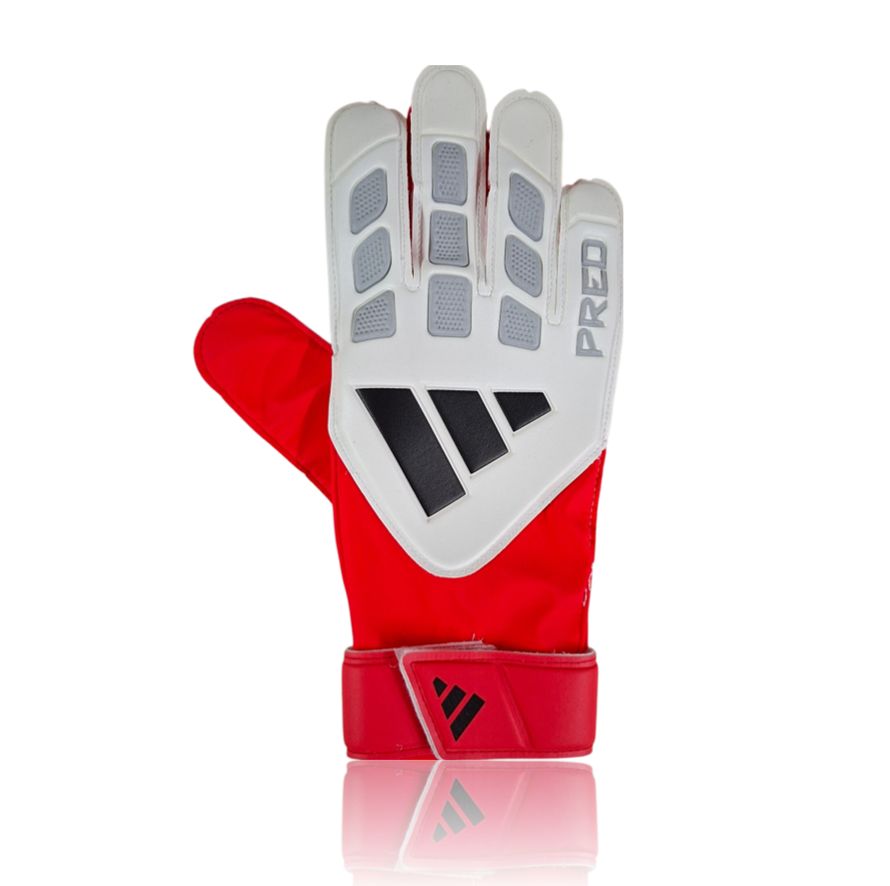Bruce Grobbelaar Hand Signed RED/WHITE/BLACK Goalkeepers Glove.
