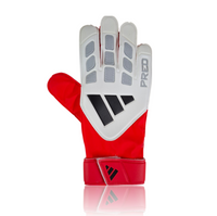 Bruce Grobbelaar Hand Signed RED/WHITE/BLACK Goalkeepers Glove.