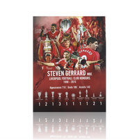 Steven Gerrard Hand Signed 12" X 16" Career Honours Montage
