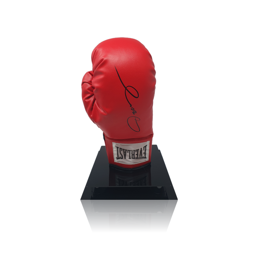 Oscar de la hoya signed glove sales