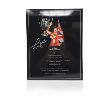 David Johnson Hand Signed 12” x 16” Honours Poster